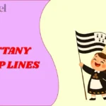 Brittany Pickup Lines