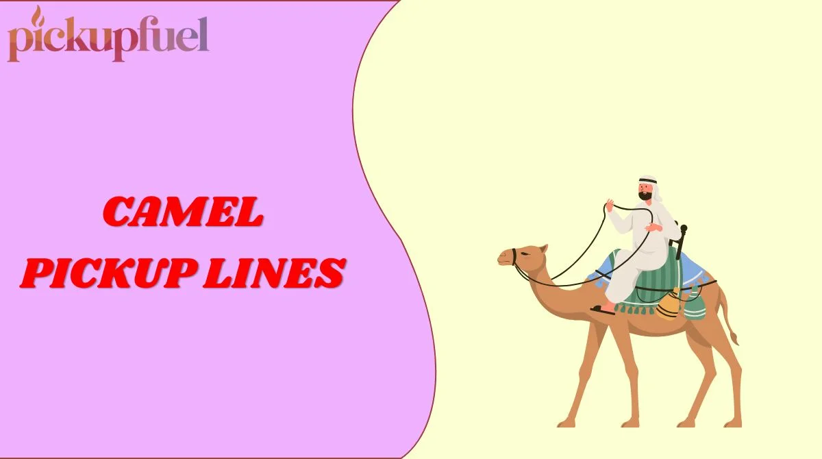 Camel Pickup Lines