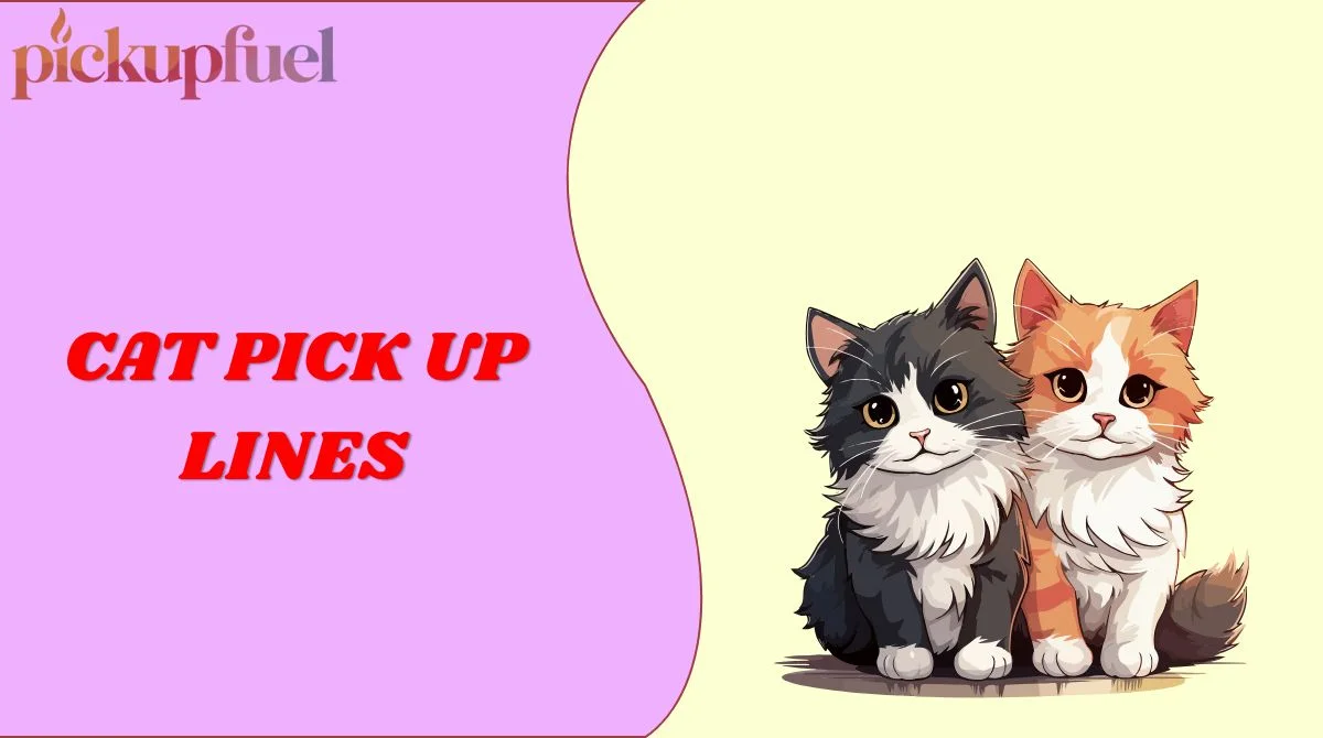 Cat Pick Up Lines