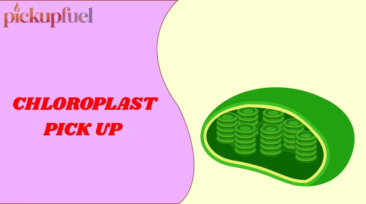 Chloroplast Pick Up