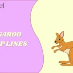 Kangaroo Pick Up Lines