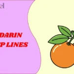 Mandarin Pick Up Lines