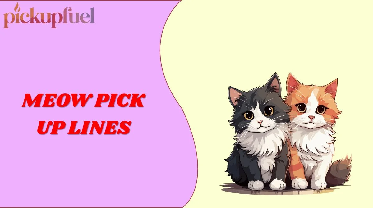 Meow Pick Up Lines