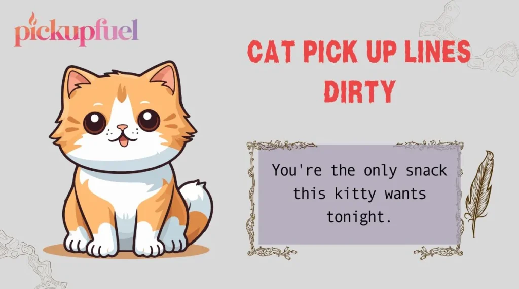Cat Pick Up Lines Dirty