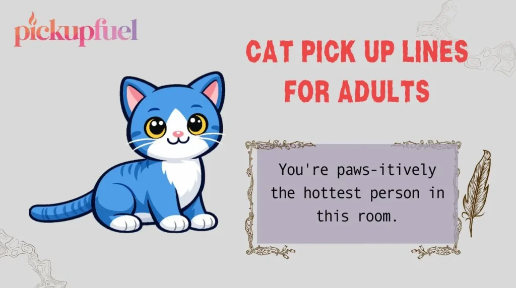 Cat Pick Up Lines for Adults