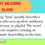 Brat Meaning Slang