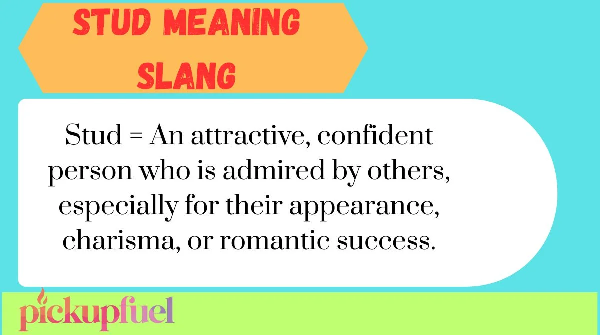 Stud Meaning Slang
