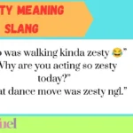 Zesty Meaning Slang