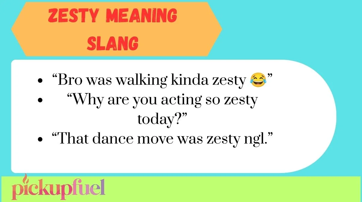 Zesty Meaning Slang
