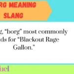 Borg Meaning Slang