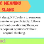 NPC Meaning Slang