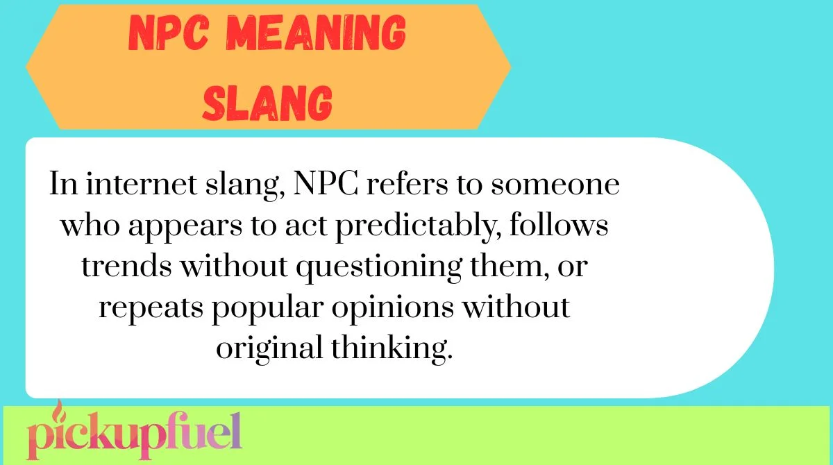NPC Meaning Slang