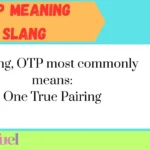 OTP Meaning Slang