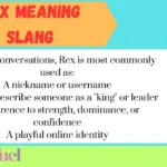 Rex Meaning Slang