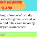 Unicorn Meaning Slang