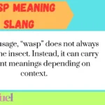 Wasp Meaning Slang